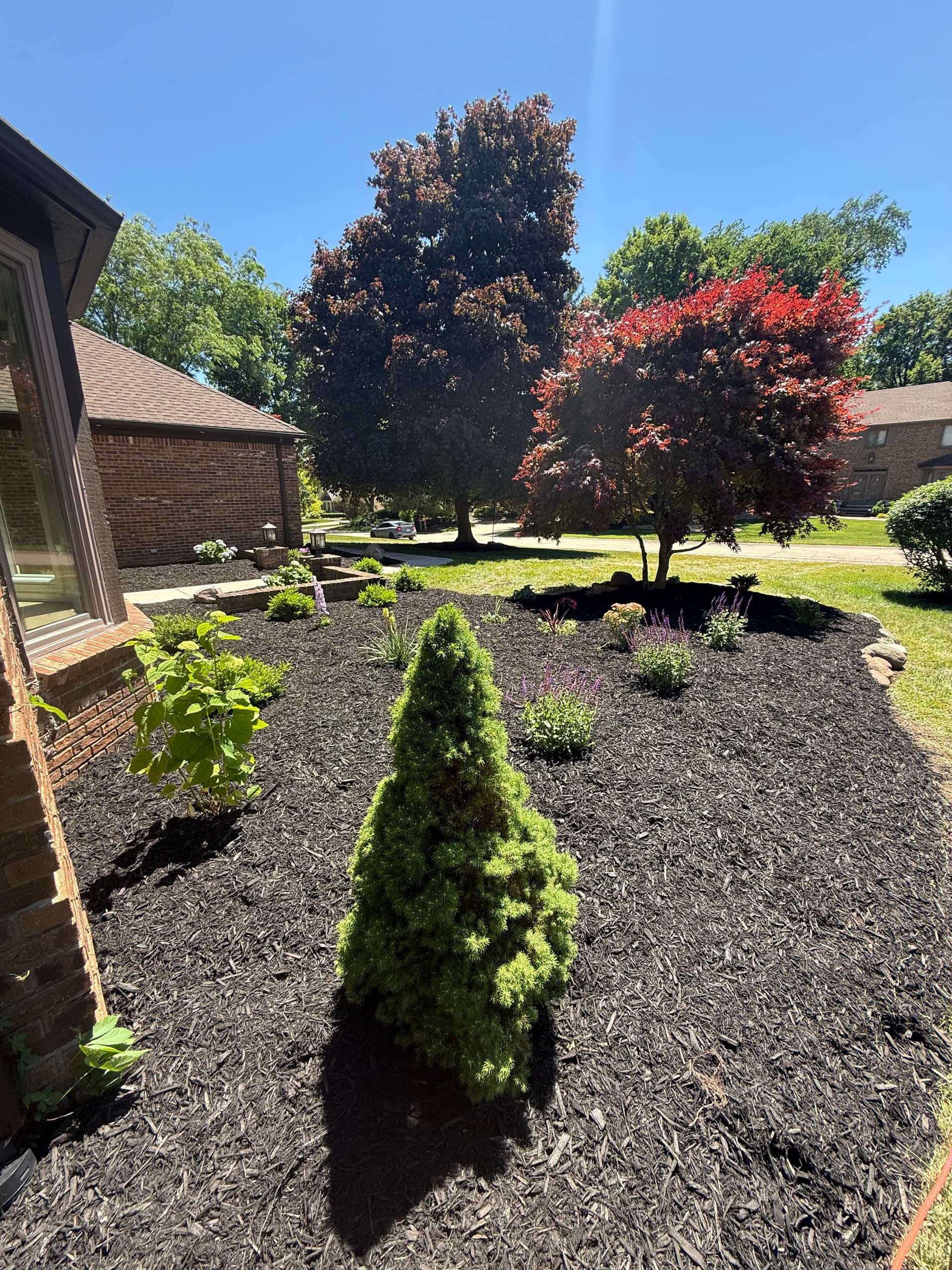 Full Landscape Refresh for a Northville Home