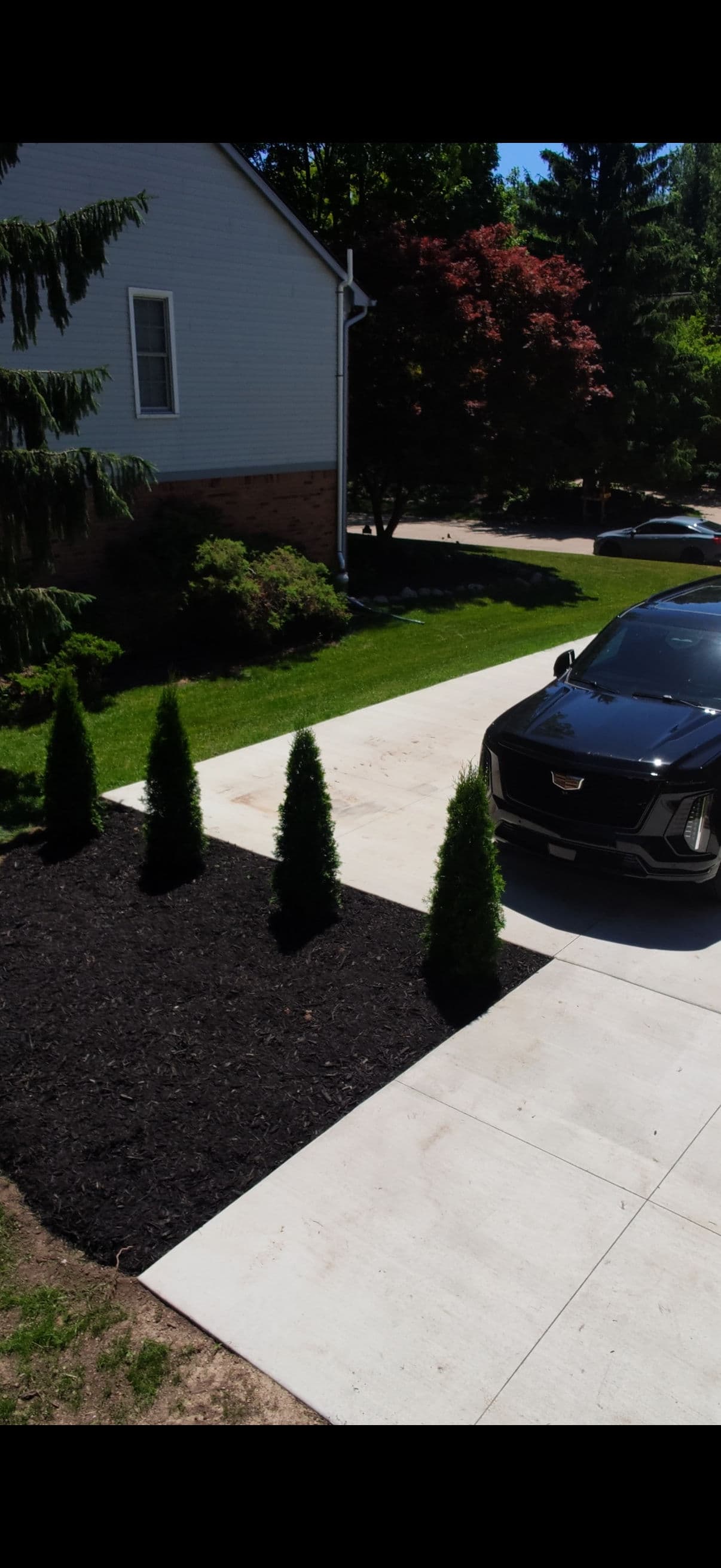 Full Landscape Refresh for a Northville Home